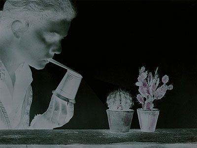 Formation #04 C-Print, Diasec, 125 x 166cm, 3 + 1 AP © Erik Niedling, VG Bild-Kunst, Bonn 2006