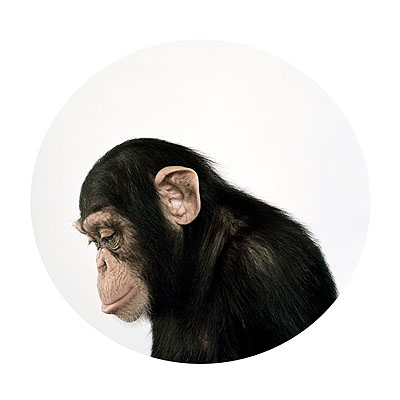 Petrina HicksLouiefrom The Descendants, 2008lightjet print120 x 120cm edition of 8 + AP