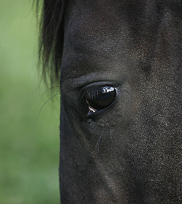 Deutsche Börse Photography Prize 2008