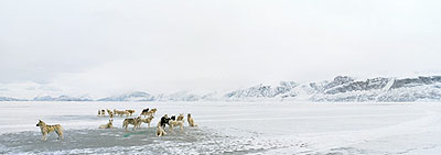 Uummannaq 2, 2007 © Tiina Itkonen courtesy Michael Hoppen Contemporary