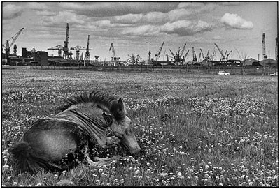 Newcastle on Tyne, England 1978 @Martine Franck Magnum Photos