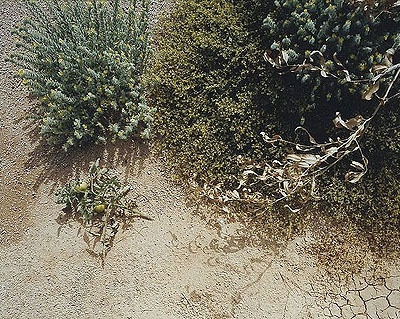 Johannes Schwartz, Scattered Rug No.3, 40 x 50cm (ed 5 + 2 ap), C-print 2005