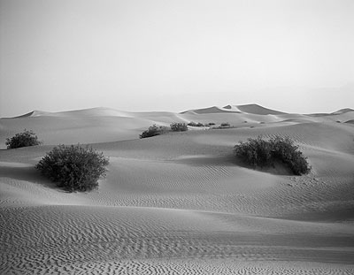 Shirana ShahbaziFrom the Series LandschaftenGelatin silver print on aluminiumSizes variableEd. of 5