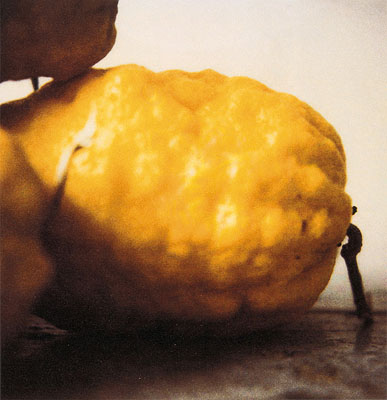 Photographs 1951-2007