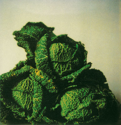 Photographs 1951-2007
