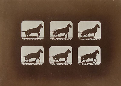 Eadweard  Muybridge (Edward James Muggeridge)HORSE IN MOTION, FROM THE ALBUM 