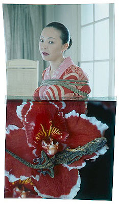 Hana Kinbaku 2008 © Nobuyoshi Araki courtesy Michael Hoppen Contemporary C-type Print 130 x 170 cmIn an edition of 1, each sold with individual transparency
