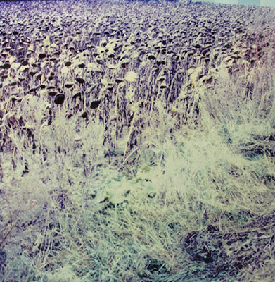 Knut Wolfgang Maron, aus: Bilder über Landschaft, 2005/07