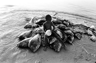 Am Strand von Cayar, Senegal 1960 © Robert Lebeck