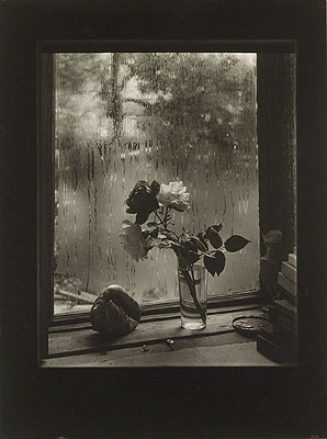 Josef SudekThe Last Rose, from the Rose series, 1956© Museum of Decorative Arts in Prague