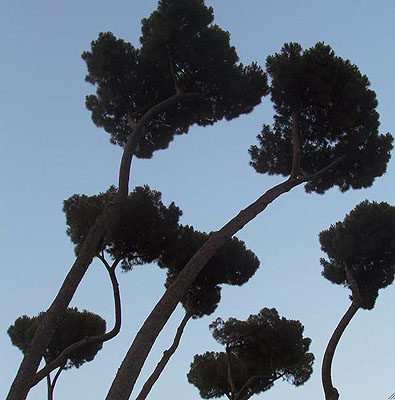 Christoph Brech, Römisches Tagebuch, 2006/2007, Fotografien
