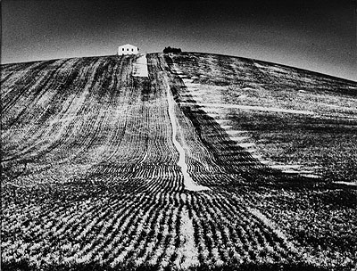 Metamorphosis of the Land, end of 1970's