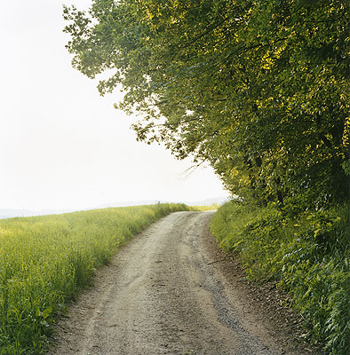 Weg,  Helfenberg-Dobring, 2006