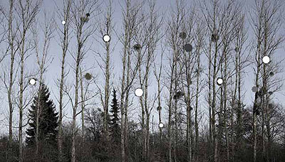 Mistelpartition (Mistle Score), 2006 Courtesy Peter Blum Gallery, New York & Tim Van Laere Gallery, Antwerp