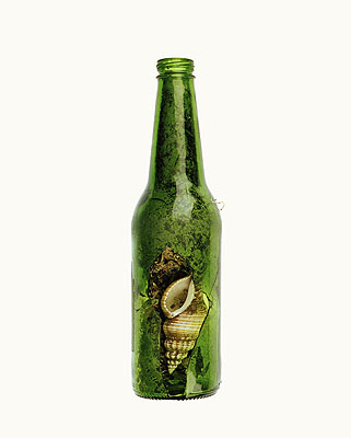 Green Bottlefrom The Summer of Us, 2009pigment print50 x 40 cmedition of 8 + 2 AP