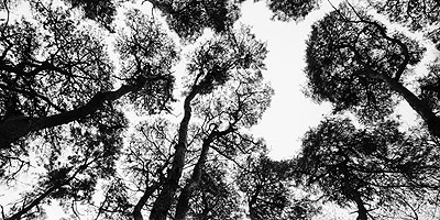 BAE, Bien-U (*1950, Korea)snm1a-085h, Gyeongju, 2002, printed 2008Chromogenic print, Diasec mount135 x 260 cm ( 53 1/8 x 102 3/8 in. )Edition of 5 Signed, dated and titled on verso, artist's frameFrom the series Sonamu