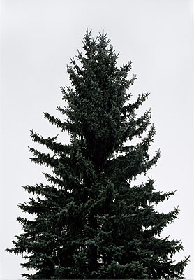 Stefanie Seufert, o.T. (Dreieck), ©2007, Farbfotografie