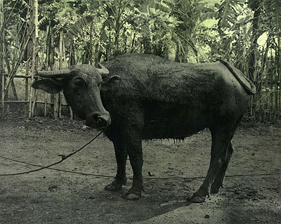 © Ingar Krauss. Sans titre, Davao, 2007.