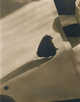 Edward SteichenDiagram of Doom-2, ca. 1922Vintage palladium print25.2 x 20.2 cmTitled, dated, and annotated in pencil on versoCourtesy Galerie Zur Stockeregg, Zurich