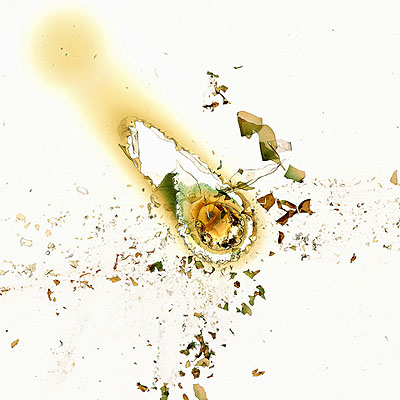 © Claus Stolz, Sonne 69, 2003
