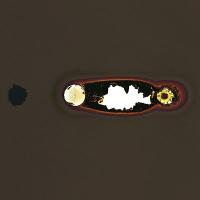 © Claus Stolz, Sonne 23 negative version, 1999