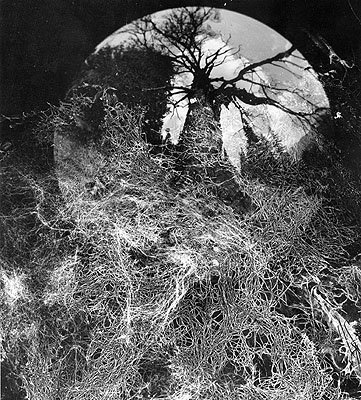 Edward Hartwig, PL (1909-2003)