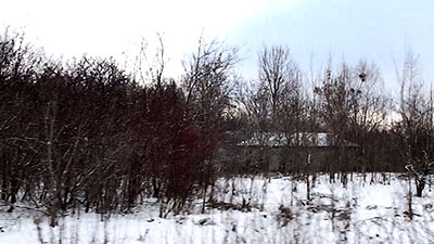 Merilyn FairskyeFieldwork II (Chernobyl), 2009from 100100:00 minute, single channel video projectionedition of 5