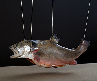 Holger Niehaus, Untitled, 2004, 142 x 69 cm. Courtesy Galerie Willem van Zoetendaal