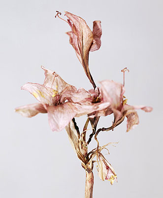 Holger Niehaus, Untitled, 2006, 202 x 167 cm. Courtesy Galerie Willem van Zoetendaal