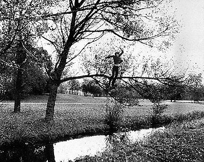 Bas Jan AderBroken Fall (organic), film. Amsterdamse Bos-Holland (1971)