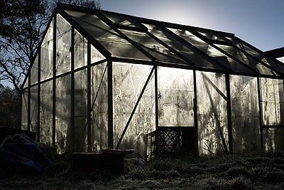 Leonie Purchas, The Greenhouse, from the series In the Shadow of Things, 2009 © Leonie Purchas