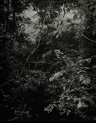 Caio Reisewitz