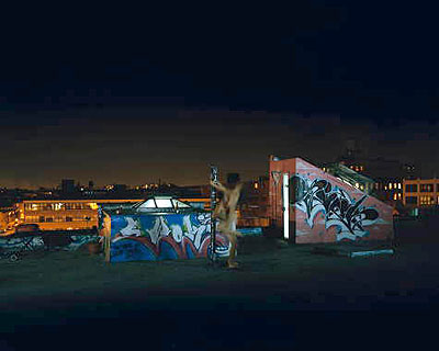 Nocturnal # 6 48x 60 inch edition of 620x25 inch edition of 9 Cromogenic prints on Kodak Ultra Endura paper