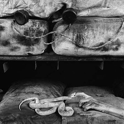 Roger Ballen, Boarding House, Bite, 2007, courtesy of Hamiltons Gallery