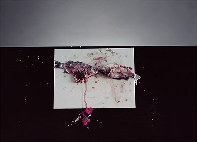 Untitled #10, 2009from the series The Dog and the Wolf118 x 153 cm, Ed. 9© Laura Letinsky, Courtesy Brancolini Grimaldi, Rome