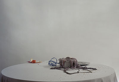 Untitled #28, 2009from the series The Dog and the Wolf105 x 138 cm, Ed. 9© Laura Letinsky, Courtesy Brancolini Grimaldi, Rome