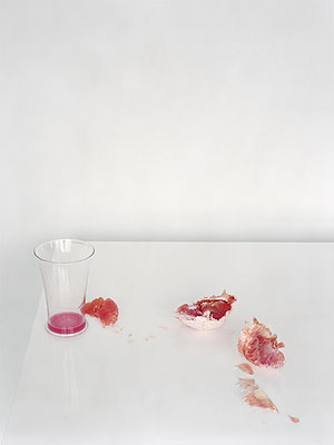 Untitled #2, 2009from the series Fall72 x 90 cm, Ed. 9© Laura Letinsky, Courtesy Brancolini Grimaldi, Rome
