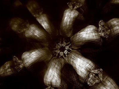 © Alvin Booth, Anamorphosis / Fingerprints