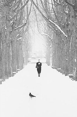 © Ikko Narahara