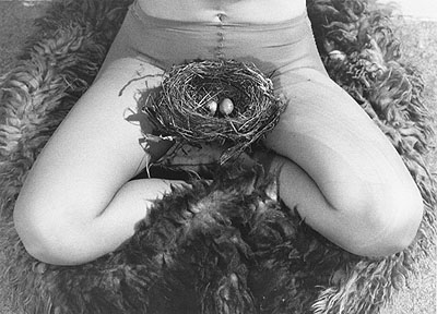 Birgit Jürgenssen Nest, 1979 S/W-Fotografie © Nachlass Birgit Jürgenssen / VBK, Wien 2009 Sammlung Verbund, Wien