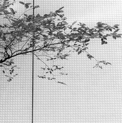 Nishidai, Japan, 2006 © Frauke Eigen