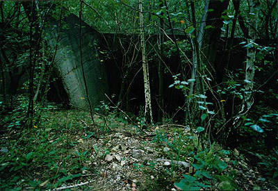 Die Zone - Oliver Kern