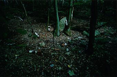 Die Zone - Oliver Kern