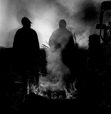 © Debbie Fleming Caffery.