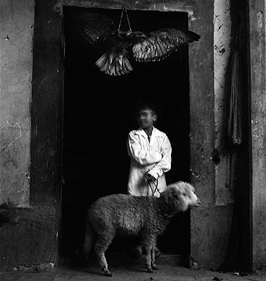 © Debbie Fleming Caffery.