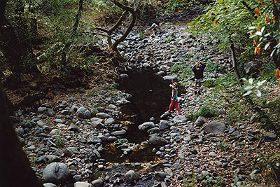 Creekside, Sonoma, 2004 © Ari Marcopoulos