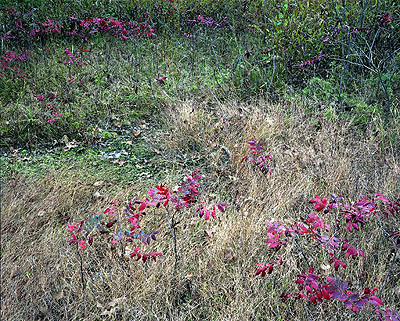 Sand Springs, OK, USA 2008 © Cuny Janssen
