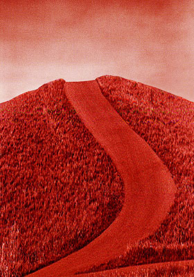 The Secret, 2010pigment print80 x 62cm, edition of 8 + 2 AP