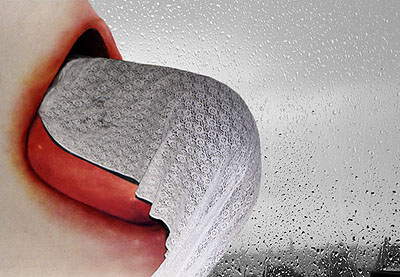 Camourflage, 2010pigment print55 x 80cm, edition of 8 + 2 AP