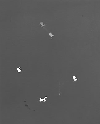 Jochen Lempert, Vier Frösche, 2010 (Fotogramm), © VG Bild-Kunst, Bonn 2010
